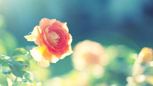 有关报到证、档案、三方、暂缓就,你想了解的全在这