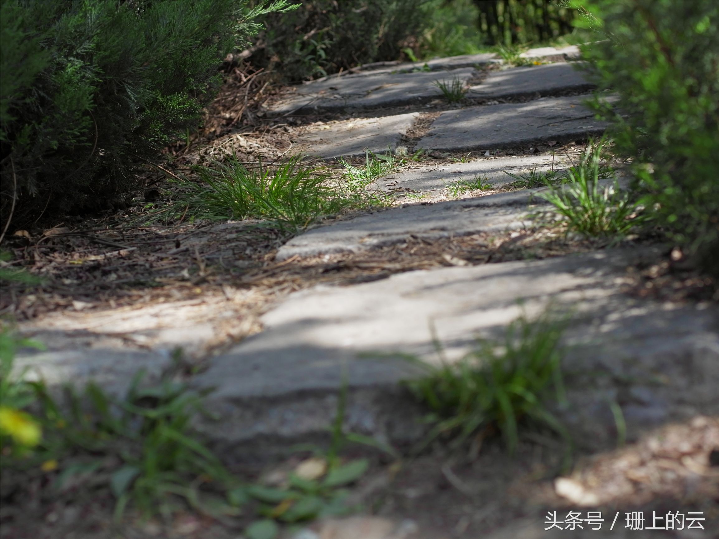 小蚁最新微单,小白体验八大旗舰手机