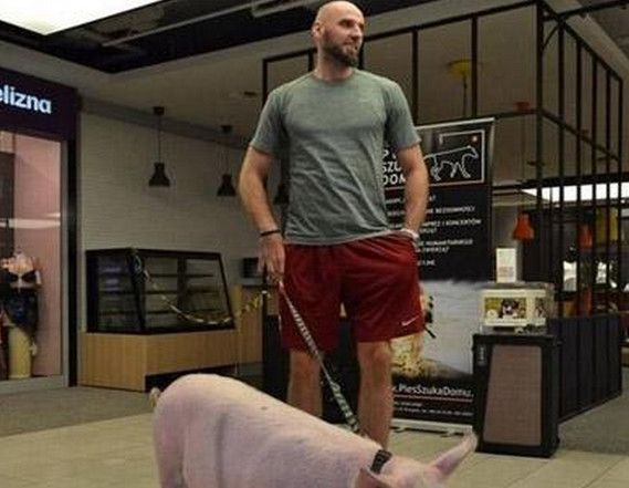 nba球星有多热爱中国,nba球星爱玩的游戏