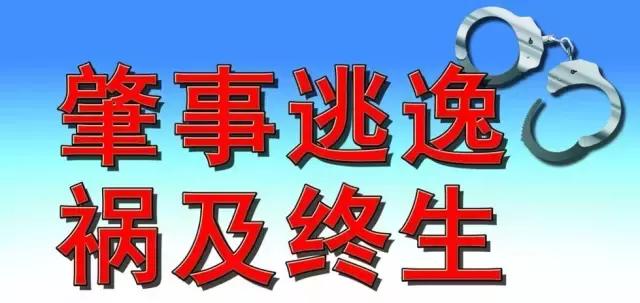 速度与激情8中的掉车视频,速度与激情8结局视频