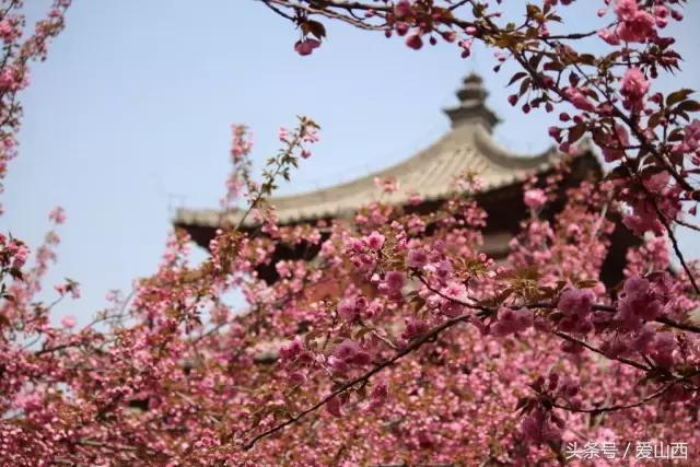 晋景:对不起,我要去榆次了,别再找我了!