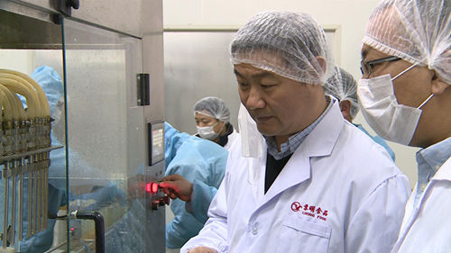 中国国际大蒜网邳州大蒜今日行情,世界大蒜看金乡