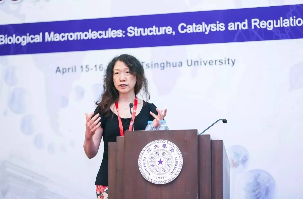 2020年中国举办的国际学术会议,第三届国际生物学会议