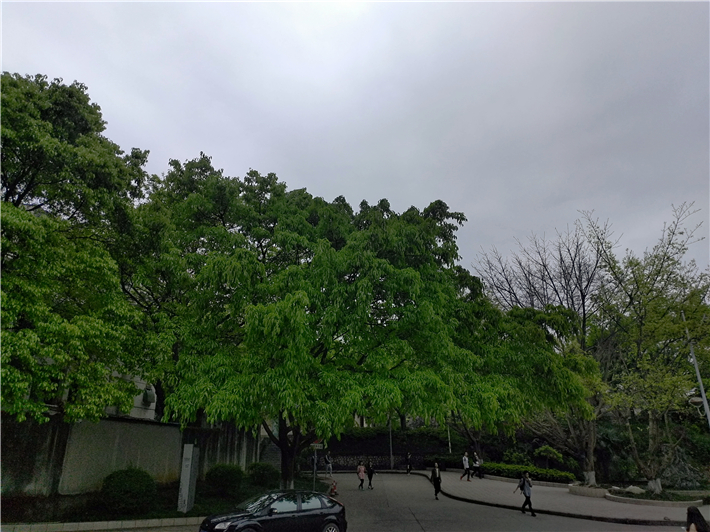 金立M6SPLUS是什么接口,金立m6splus指纹传感器