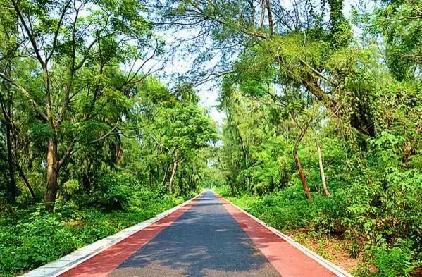 海上香格里拉旅游,汕尾金町湾海上香格里拉