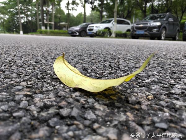 金立m6splus最低价格,金立m6splus的价格