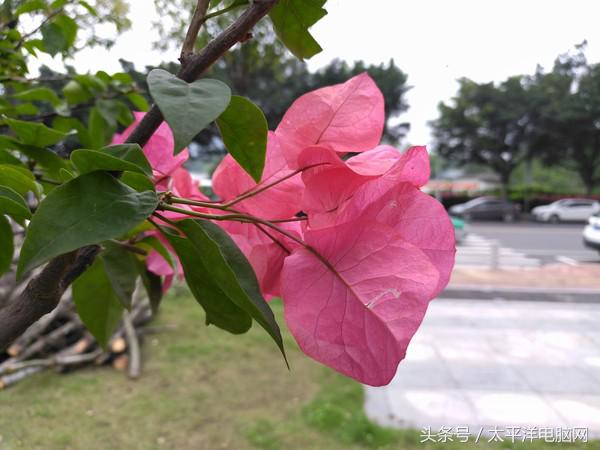 金立m6splus最低价格,金立m6splus的价格