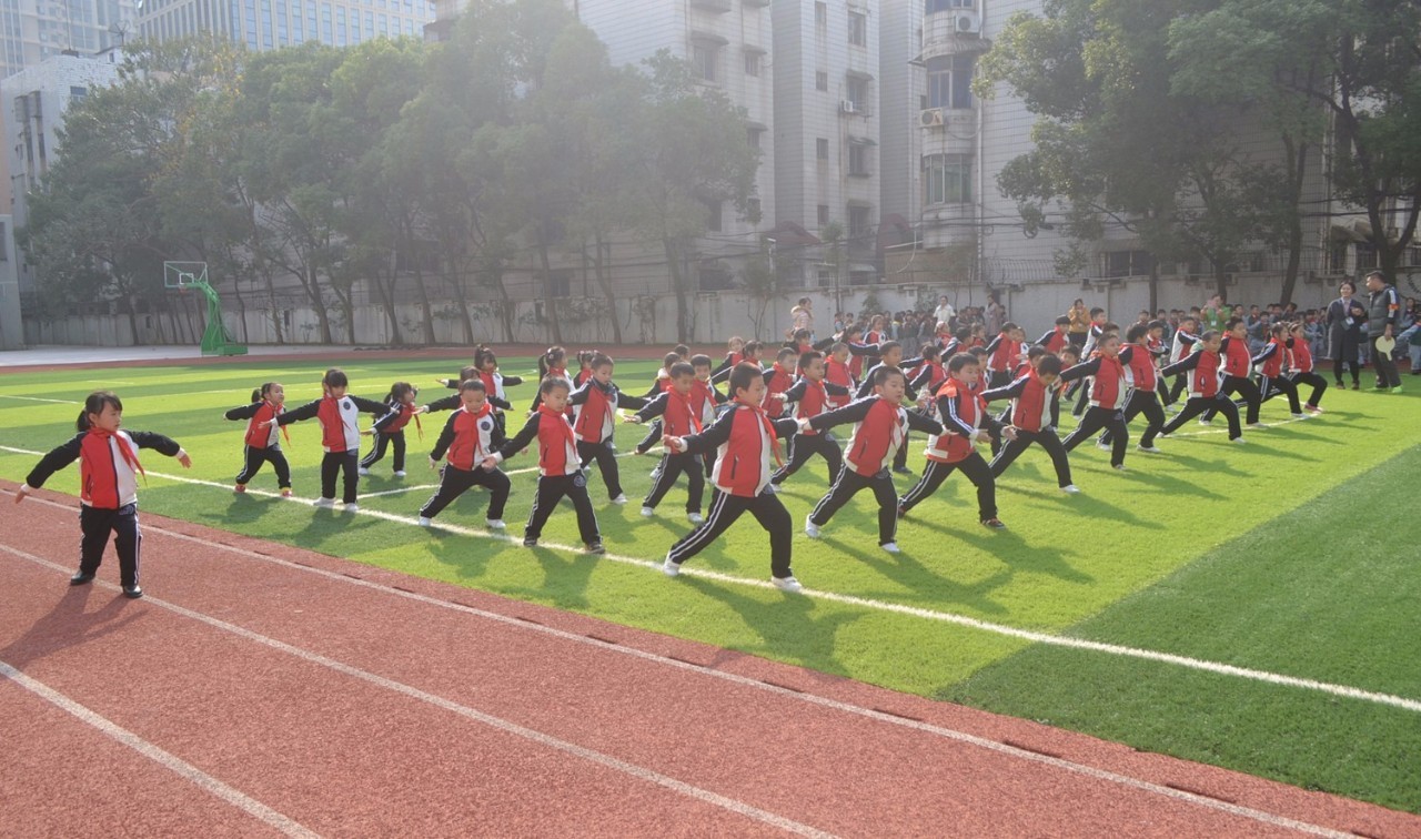 如何爆料学校,百树华联学校现状