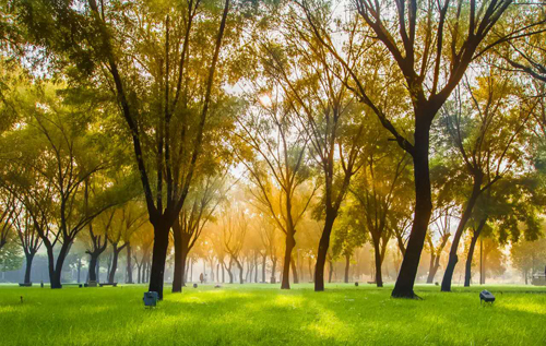 惠济区为什么称郑州后花园,惠济区是郑州的后花园吗