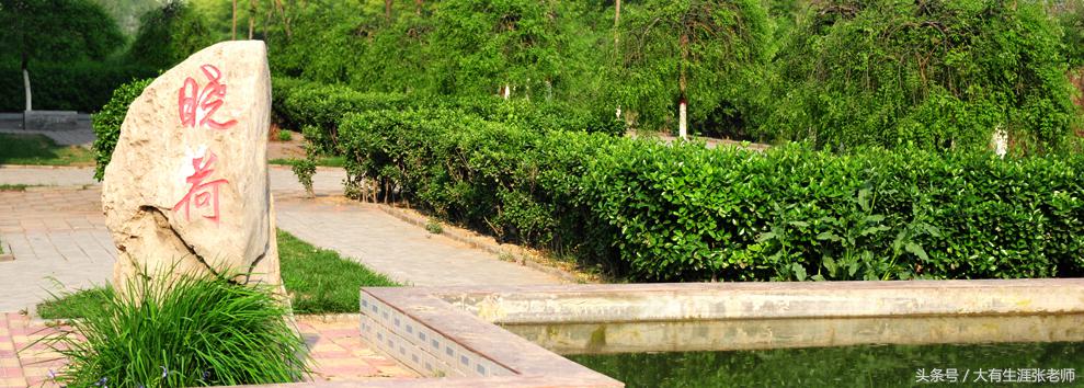 就业前景好的机械专业,河北工业职业技术学院就业率排名