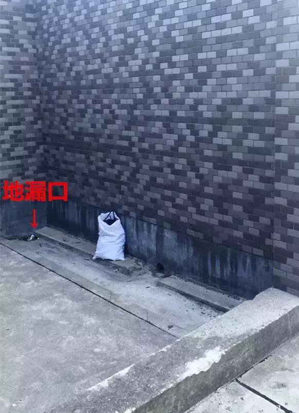 低成本自己改造屋顶花园,自己动手建房子花园