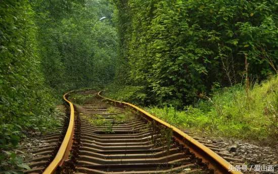 晋景:对不起,我要去榆次了,别再找我了!