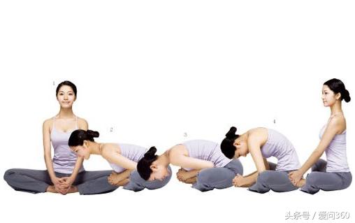 这几种中草药都是宝！养肝护肝少不了