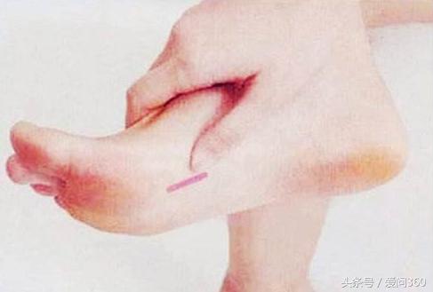 这几种中草药都是宝！养肝护肝少不了