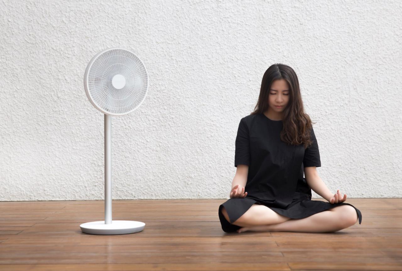 小米和智米电风扇的选择,小米智能无叶净化扇电风扇评测