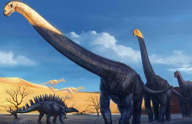 关于恐龙你都知道什么秘密习性,关于恐龙你所不知道的几个真相