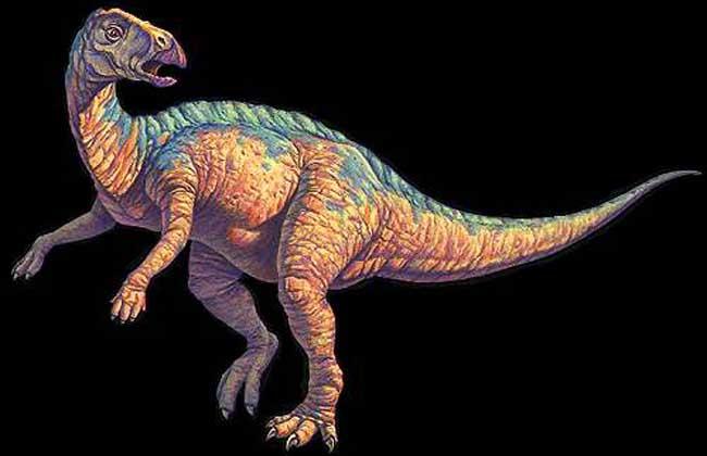 关于恐龙你都知道什么秘密习性,关于恐龙你所不知道的几个真相