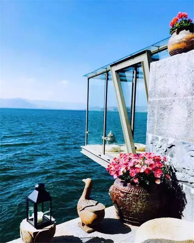 鲁豫和杨丽萍照片,美哭了新疆舞蹈