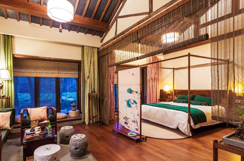 鲁豫和杨丽萍照片,美哭了新疆舞蹈