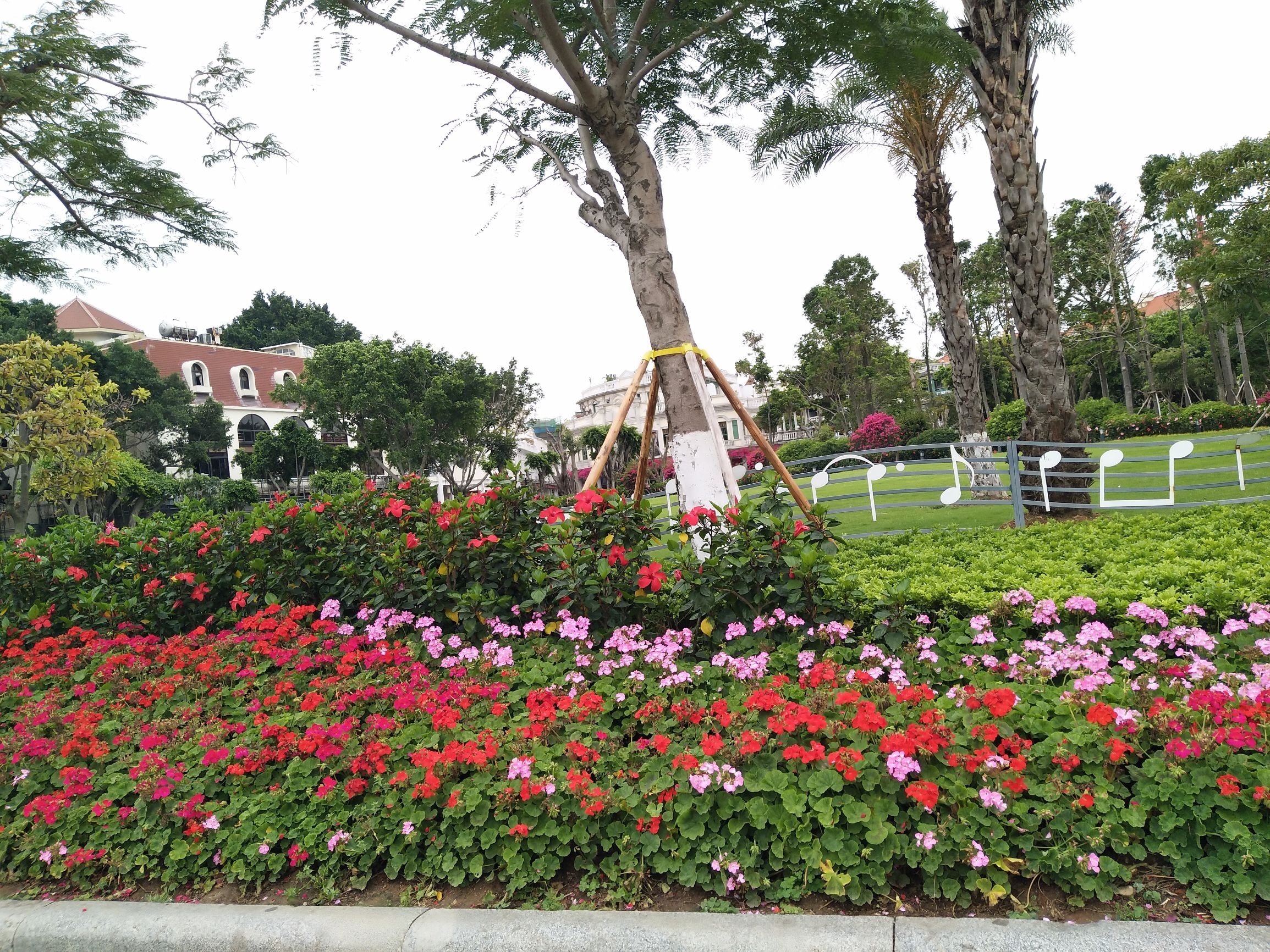 厦门自由行导游推荐,厦门自由行五天大概花费