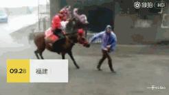 十条笑话：小震不用躲，大震躲不掉，同学们我们来讲下一题