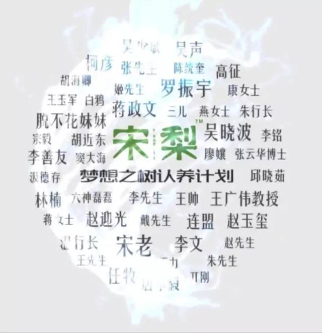 他辞去500强企业的工作,毅然决然开荒种梨,最后怎么样了