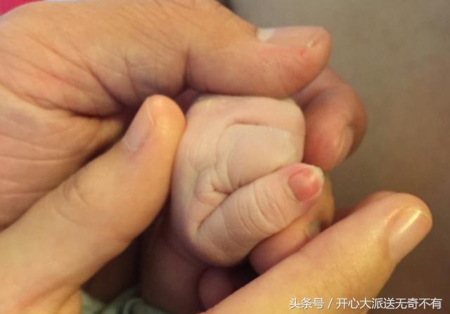 我的高龄试管历程,47岁大龄试管成功