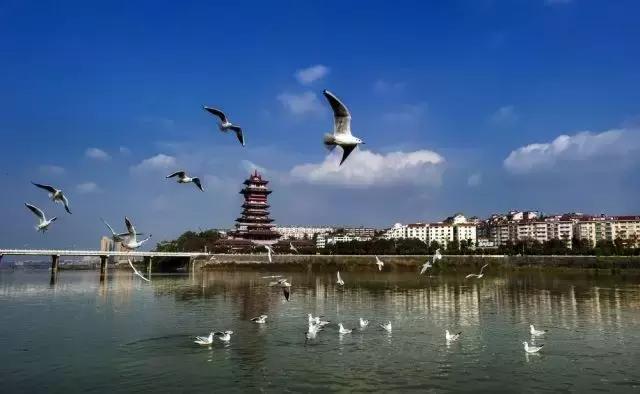 鐩樼偣鍥涘窛缁甸槼缇庨,璋堣皥缁甸槼缇庨