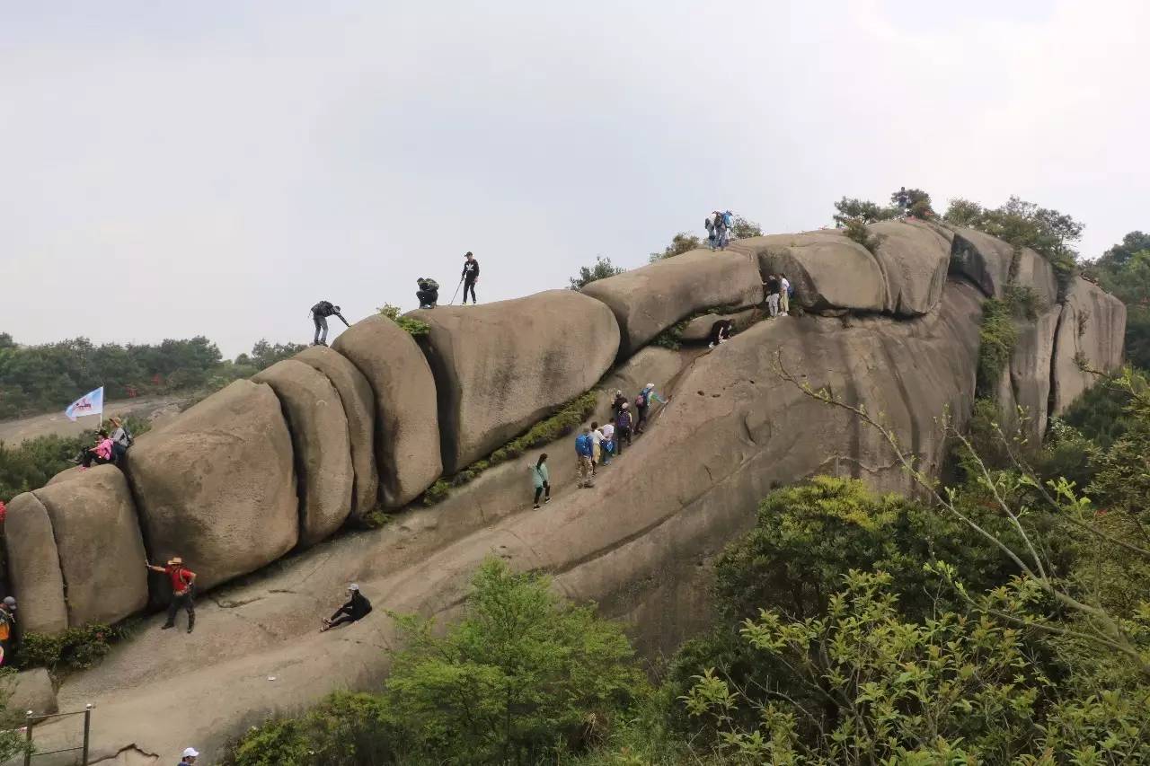 大罗山龙脊离百家尖有多远,大罗山瓯海一日游最佳路线图