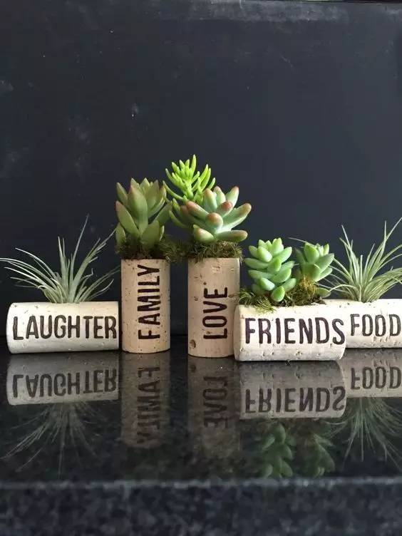 被丢弃的红酒塞遇上了植物,才迎来自己的春天