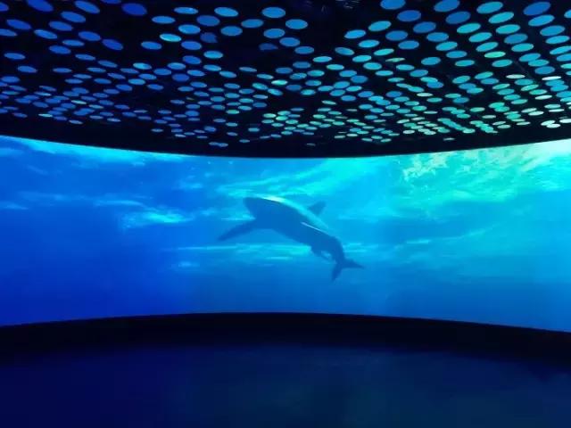 魔都各大高校里竟藏了这么多人少景美的秘密好地方,假期约起来!