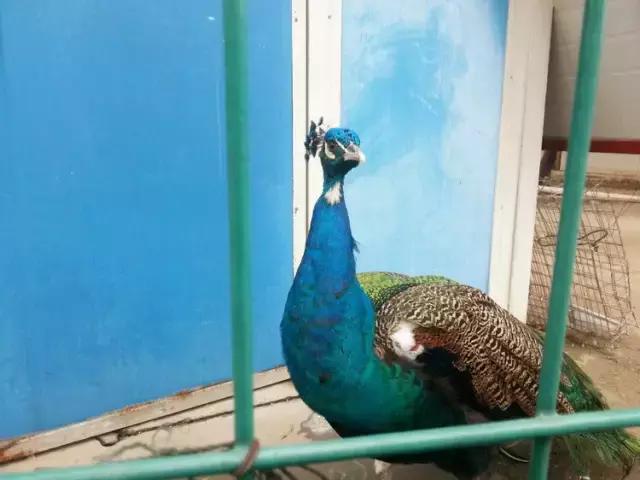 魔都各大高校里竟藏了这么多人少景美的秘密好地方,假期约起来!