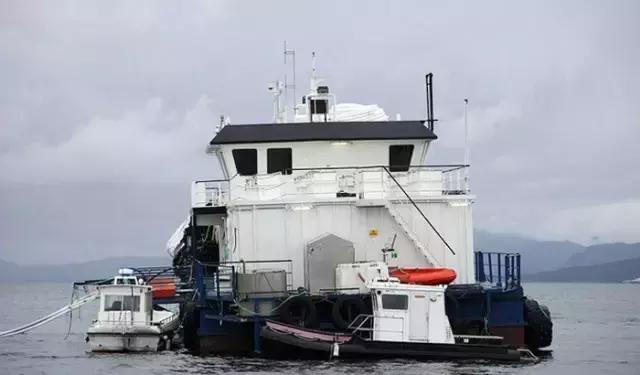 大西洋鲑鱼和挪威三文鱼的区别,我们吃的三文鱼怎么来的