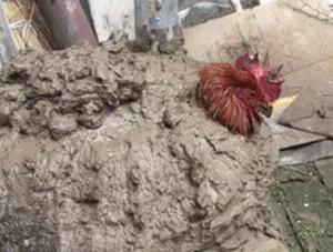 想和男友分手，这方法百试百灵