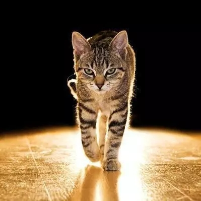 健康养生书单，99本书让你活得长，还要活得好！