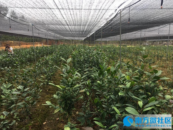 南宁市新媒体,南宁新媒体线下沙龙