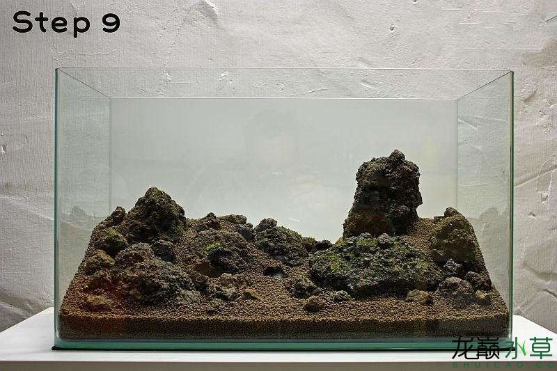 水草造景之我见-水草造景详细开缸教程及相关常见问题预防解答
