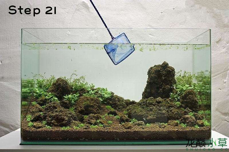 水草造景之我见-水草造景详细开缸教程及相关常见问题预防解答