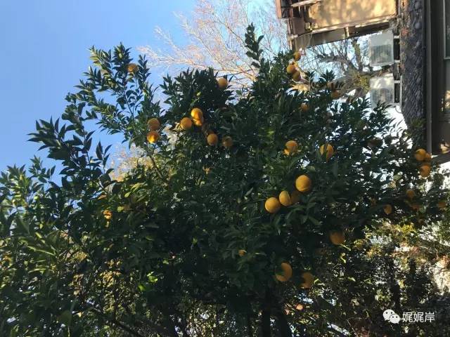 京都雾霾在哪里,冬天去京都合适吗