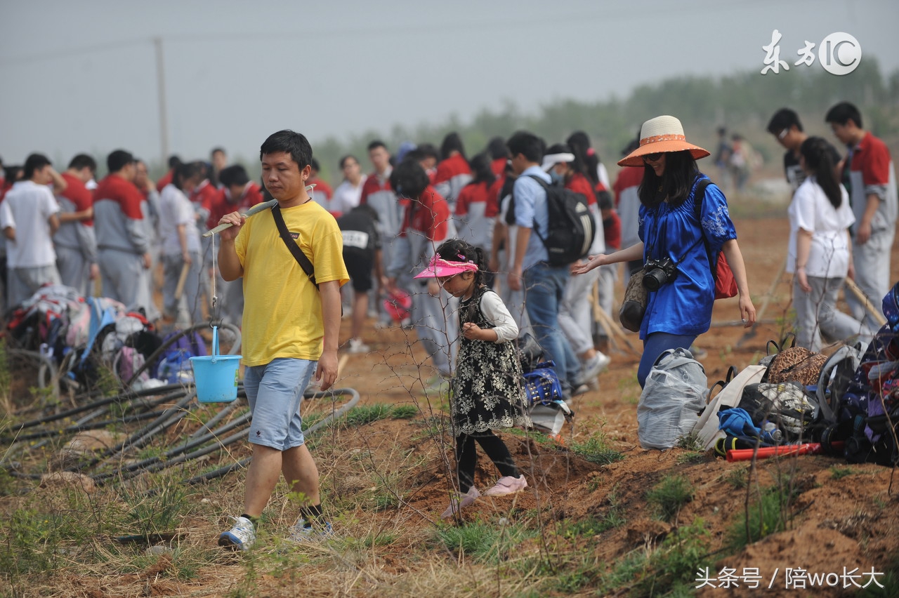 我为什么不去华德福工作——华德福小学面试记