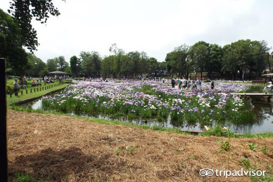 小长假最后一天去哪玩,小长假推荐人少的地方旅游