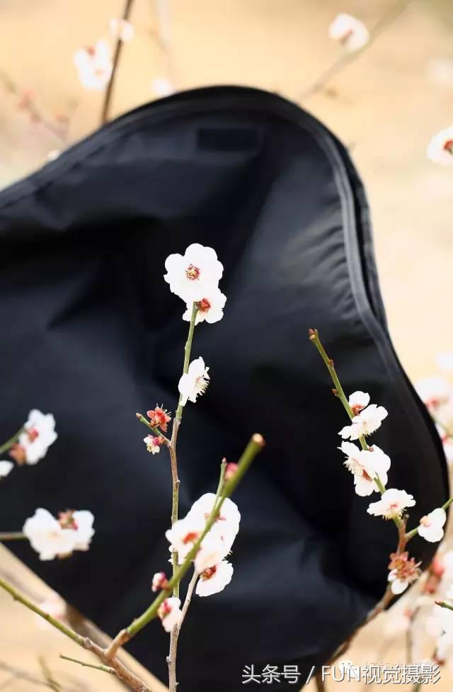 花卉创意摄影作品欣赏,花卉创意摄影十个技巧是什么