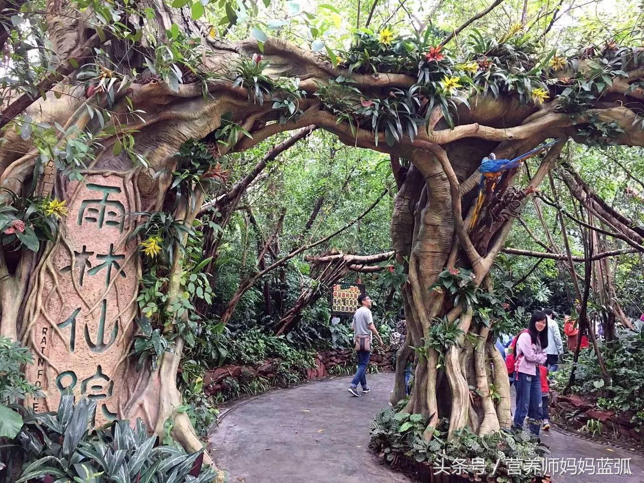 5.1带孩子去长隆推荐,带娃广东长隆欢乐世界游玩攻略