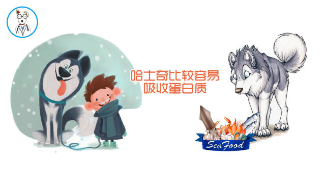 狗狗只吃人的食物不吃狗粮好吗,经常吃家里饭菜的狗狗还吃狗粮吗