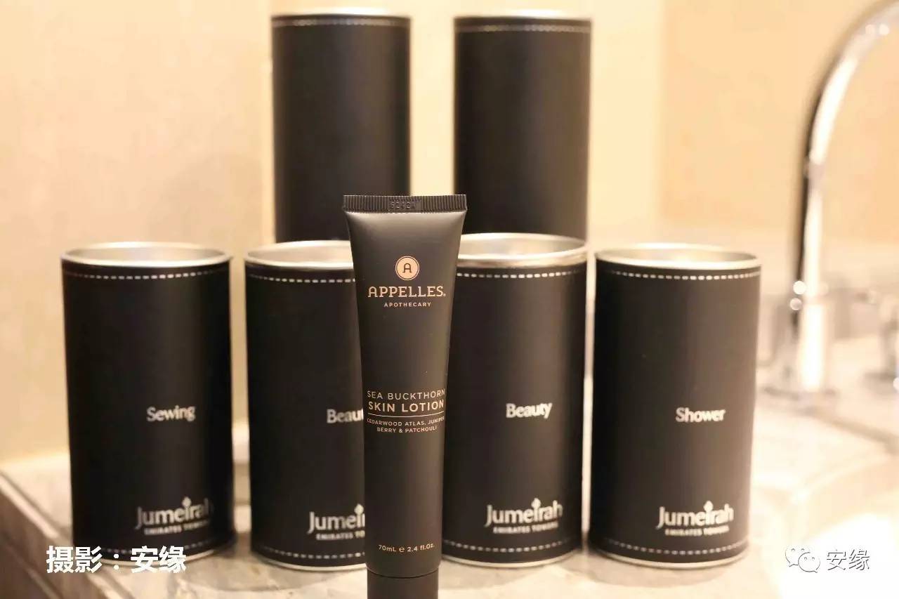 迪拜有钱人别墅,迪拜有钱人房子