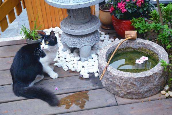 银河系最迷你的和菓子店