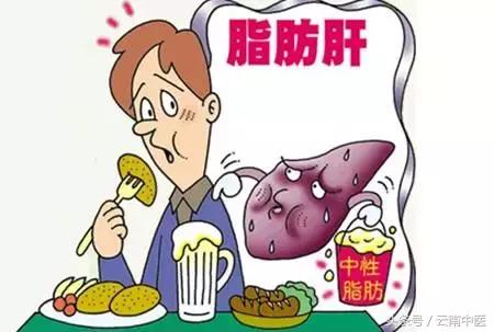 患上脂肪肝怎么办?先从这四点做起!