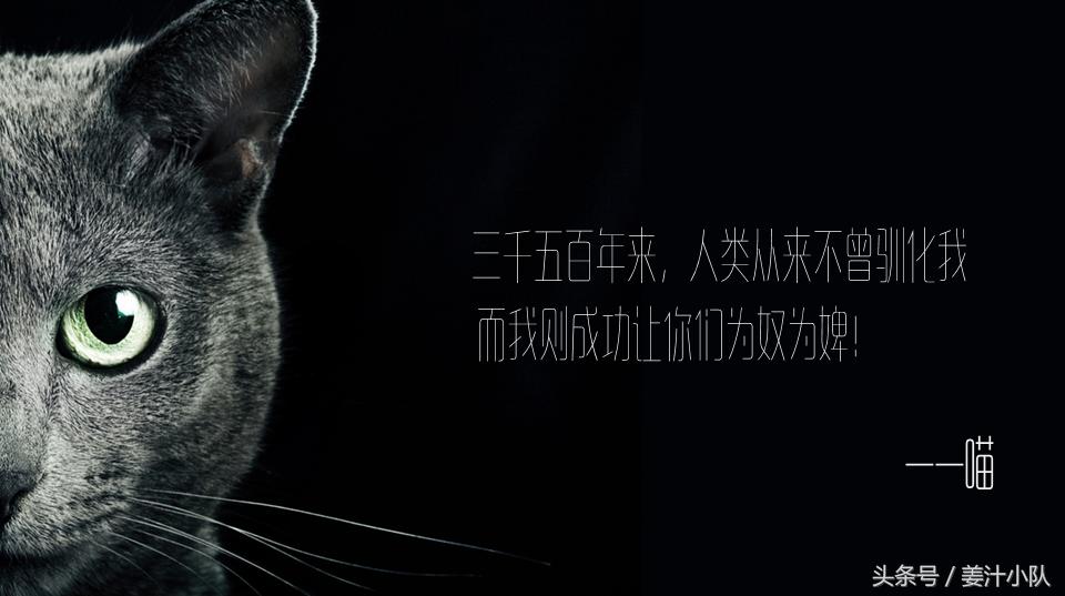 打造高颜值ppt的素材与方法,令人惊艳的ppt应该有什么特点