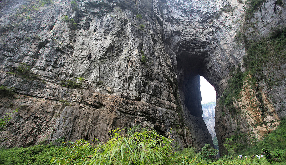民间故事变异巨蟒,民间故事千年巨蟒