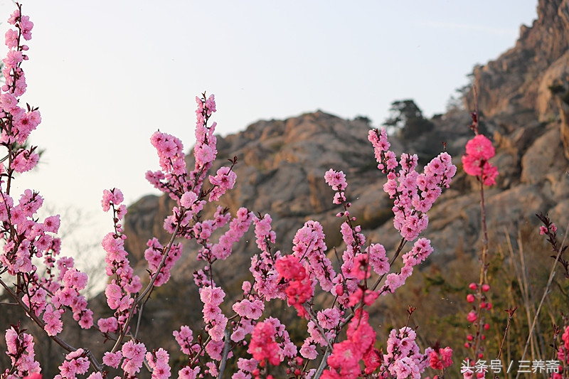 忆江南平仄填词,宋词填词模板忆江南